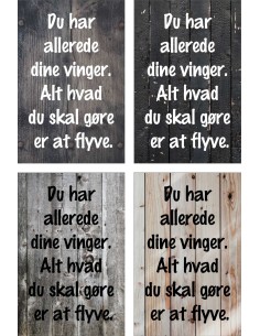 Skilt 146 - Du har allerede dine vinger 2