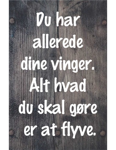 Skilt 146 - Du har allerede dine vinger