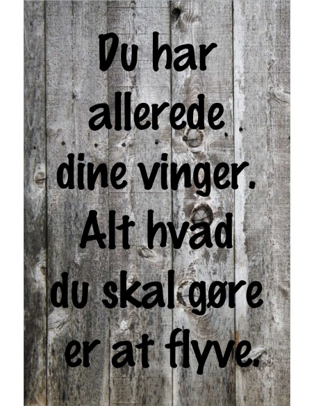 Skilt 146 - Du har allerede dine vinger