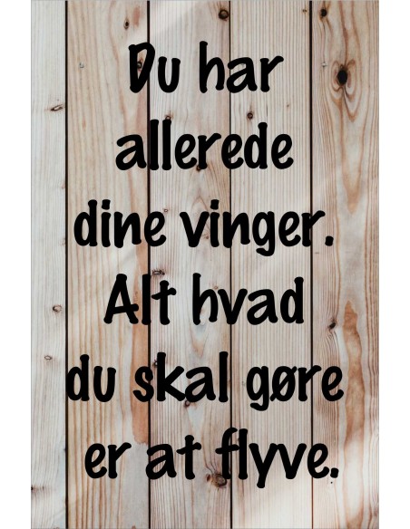 Skilt 146 - Du har allerede dine vinger