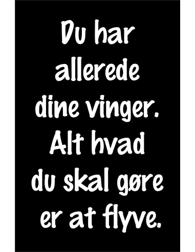 Skilt 146 - Du har allerede dine vinger