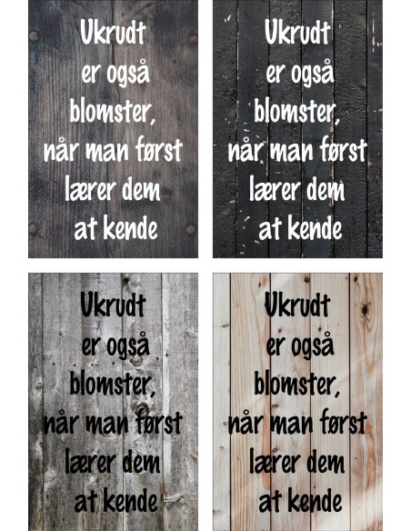 Skilt 154 - Ukrudt er også blomster