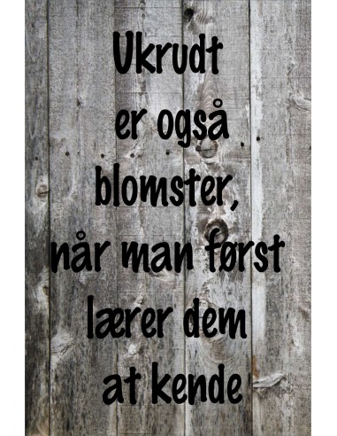 Skilt 154 - Ukrudt er også blomster