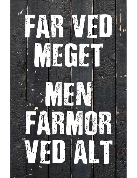 Skilt 161 - Far ved meget
