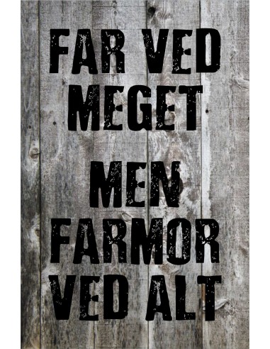 Skilt 161 - Far ved meget