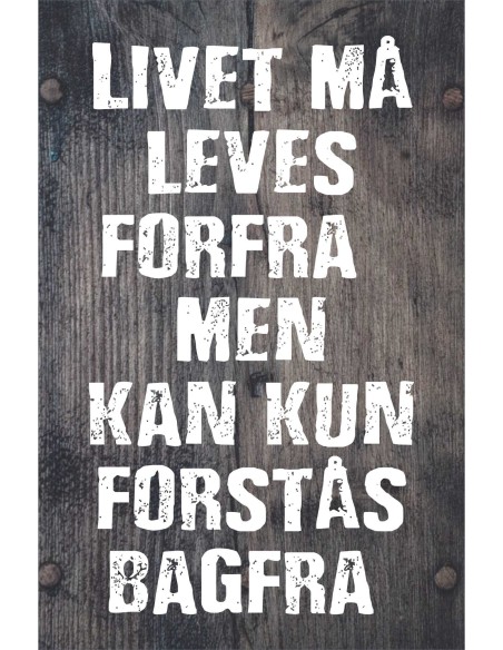 Skilt 171 - Livet må leves