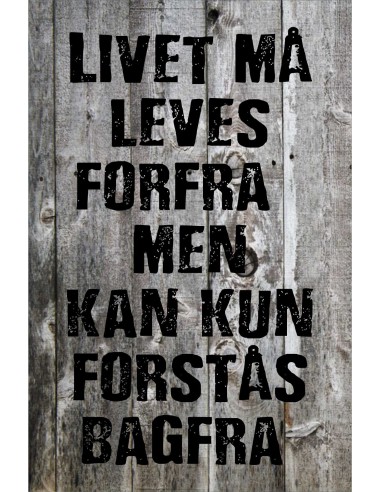 Skilt 171 - Livet må leves