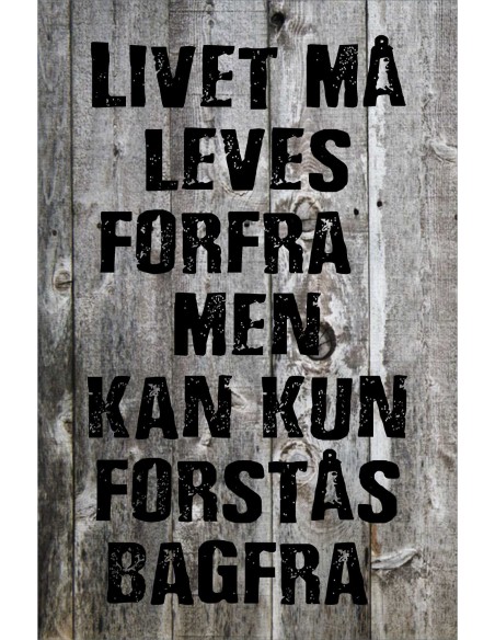Skilt 171 - Livet må leves
