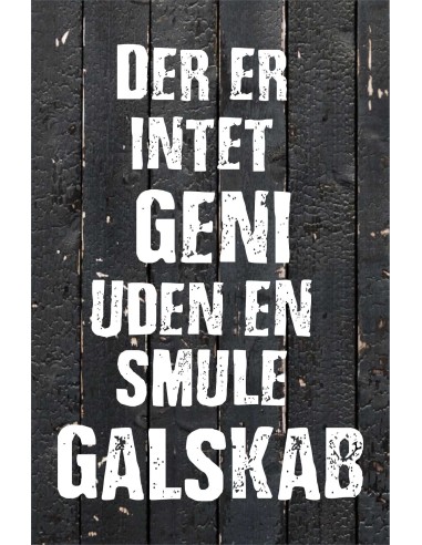 Skilt 173 - Der er intet geni