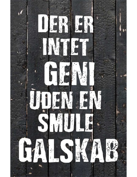 Skilt 173 - Der er intet geni