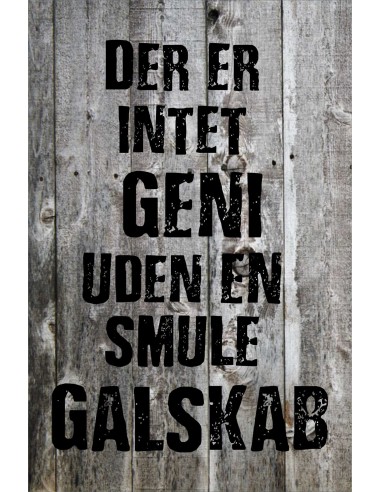 Skilt 173 - Der er intet geni