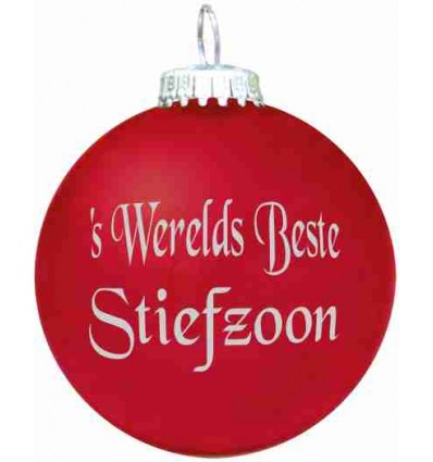 's Werelds Beste  Stiefzoon