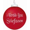 's Werelds Beste  Stiefzoon