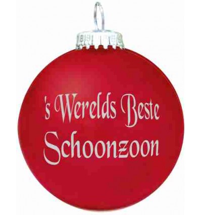 's Werelds Beste  Schoonzoon